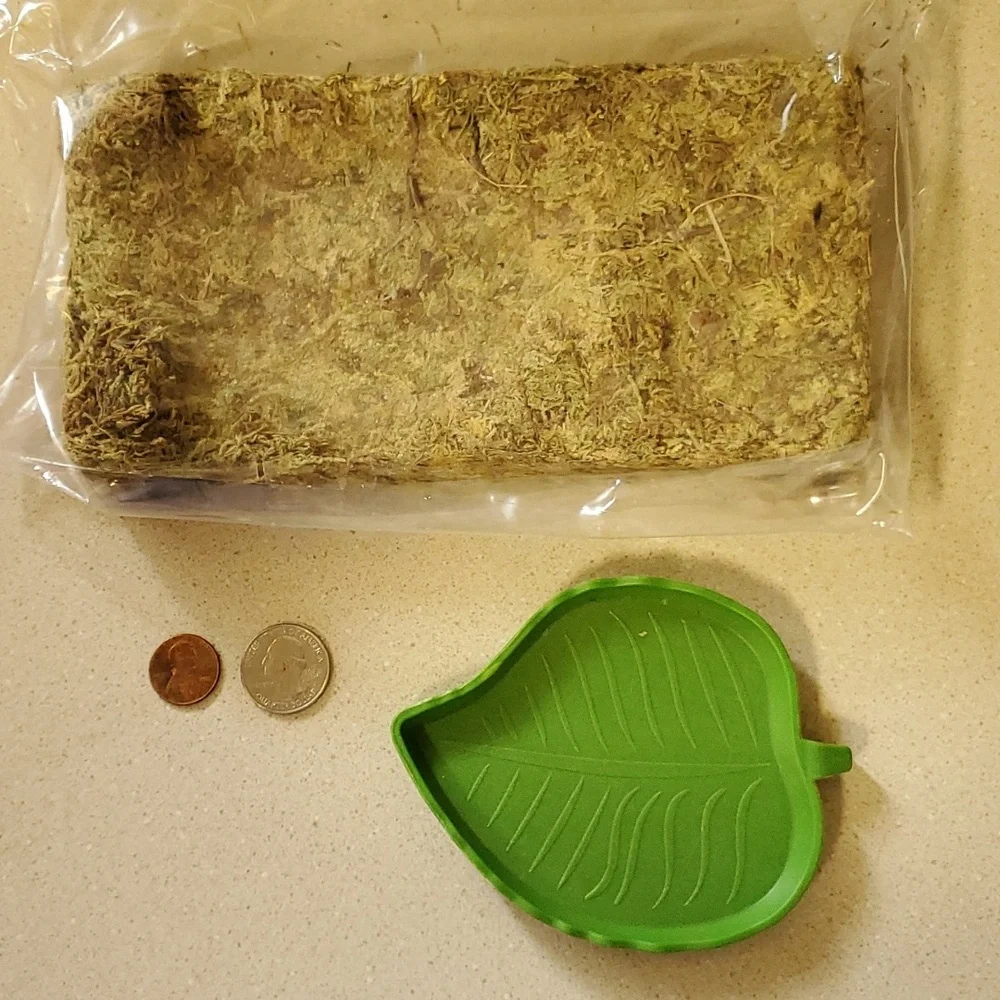 Reptile bundle